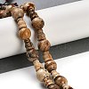 Natural Picture Jasper 3-Hole Guru Beads Strands G-H064-E06-01-2