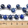 Natural Lapis Lazuli Beads Strands G-H297-B02-02-5
