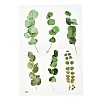 Waterproof Plastic Self Adhesive Stickers DIY-F064-13C-1