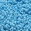 Baking Paint Glass Seed Beads SEED-S042-05A-38-3