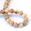 Frosted Natural Picture Jasper Round Bead Strands G-E334-4mm-26-3