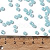 Glass Seed Beads SEED-H002-E-A1411-4