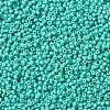 MIYUKI Round Rocailles Beads X-SEED-G008-RR4475-4