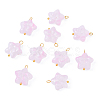 10Pcs Star with Bowknot Glass Pendants PALLOY-YW00059-02-1