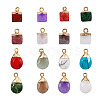 Kissitty 16Pcs 16 Style Natural & Synthetic Gemstone Pendants G-KS0001-06-8