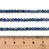 Natural Lapis Lazuli Beads Strands G-RM2025526-A01-3mm-5