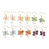6 Pairs Natural Gemstone Dangle Earrings EJEW-JE06622-2