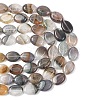 Natural Agate Beads Strands G-L654-B01-01-5