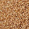 MIYUKI Delica Beads X-SEED-J020-DB2171-3