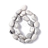 Natural Howlite Beads Strands G-L242-13-3