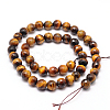 Natural Tiger Eye Beads Strands G-F260-02-8mm-2