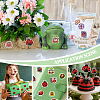 2 Rolls 2 Styles PVC Self Adhesive Stickers STIC-PH0001-08-5
