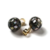 Natural Paua Shell Dyed Round Charms SSHEL-H071-01G-05-2