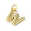 Rack Plating Brass Charms KK-P245-06G-W-2