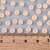 FGB Frosted Transparent Glass Seed Beads SEED-N013-02A-03-4