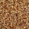 Plated Glass Bugle Beads SEED-S046-01A-22B-2