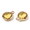 K9 Glass Charms GLAA-N038-22-01LG-6