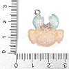 Ocean Theme Transparent Resin Pendants RESI-I351-03P-01-3