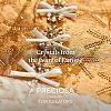 Preciosa® MAXIMA Crystal Round Stones Y-PRC-RASS39-30050-5