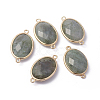 Golden Tone Brass Natural Labradorite Links connectors X-G-F339-A15-1