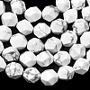 Natural Howlite Beads Strands G-Z119-A43-03-5