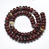 Natural Red Rainbow Jasper Beads Strands G-T122-02I-2