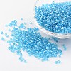 Round 12/0 Glass Seed Beads X-SEED-A006-2mm-103-1