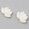 Natural Freshwater Shell Beads X-SHEL-S276-103-2