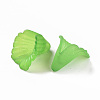 Transparent Acrylic Bead Caps X-PL551-C07-3