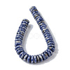 Natural Blue Spot Jasper Beads Strands G-F743-06L-3