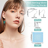 10 Pairs 925 Sterling Silver Earring Hooks STER-BBC0001-38-2