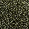 MIYUKI Delica Beads X-SEED-J020-DB2404-2