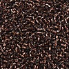 MIYUKI Delica Beads SEED-X0054-DB0150-3
