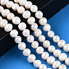 Natural Cultured Freshwater Pearl Beads Strands PEAR-N013-07N-2