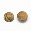 Natural Picture Jasper Cabochons X-G-R416-8mm-42-2