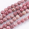 Natural Fossil Coral Beads Strands G-F563-01-8mm-1