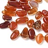 Natural Red Agate Beads Strands G-P604-A14-01-4