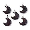 Natural Brecciated Jasper Pendants G-Z022-04E-1