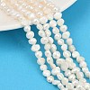 Natural Cultured Freshwater Pearl Beads Strands PEAR-P064-19G-01A-1