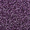 MIYUKI Delica Beads X-SEED-J020-DB2169-3