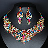Flower Alloy Glass Rhinestone Pendant Necklace & Stud Dangle Earring Sets FS-WG74144-04-1