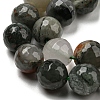 Natural Afican Bloodstone Beads Strands G-C079-B02-02-4