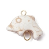 Synthetic Turquoise Connector Charms PALLOY-JF02372-01-3