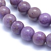 Natural Lepidolite/Purple Mica Stone Beads Strands G-L552H-09B-2