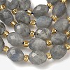 Natural Labradorite Beads Strands G-F809-A47-01-5