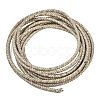 Braided Leather Cord with Core WL-F009-6mm-03-1