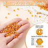 Picasso Baking Paint Glass Seed Beads SEED-TA0001-62C-3