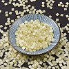 MIYUKI TILA Beads X-SEED-J020-TL2554-2