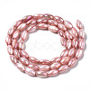 Freshwater Shell Beads Strands SHEL-N026-141D-2