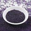 MIYUKI Round Rocailles Beads X-SEED-G007-RR0157-2
